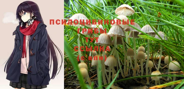 бутират Майский