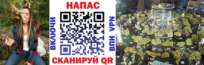 где найти   Камешково  Канабис MAZAR 
